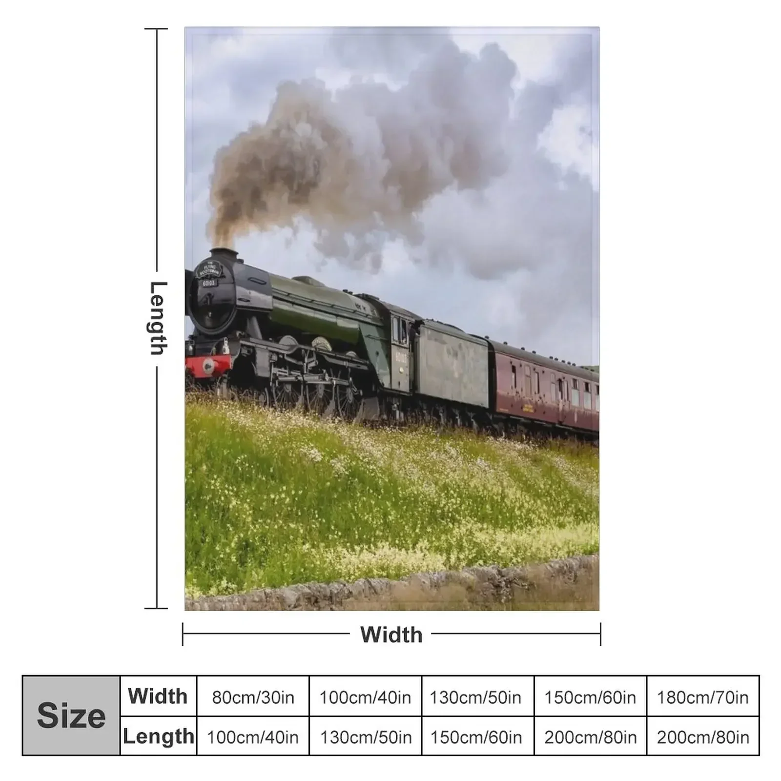 Плед «Летучий шотландец в Йорк – обзор и цена 3D Printing Yorkshire